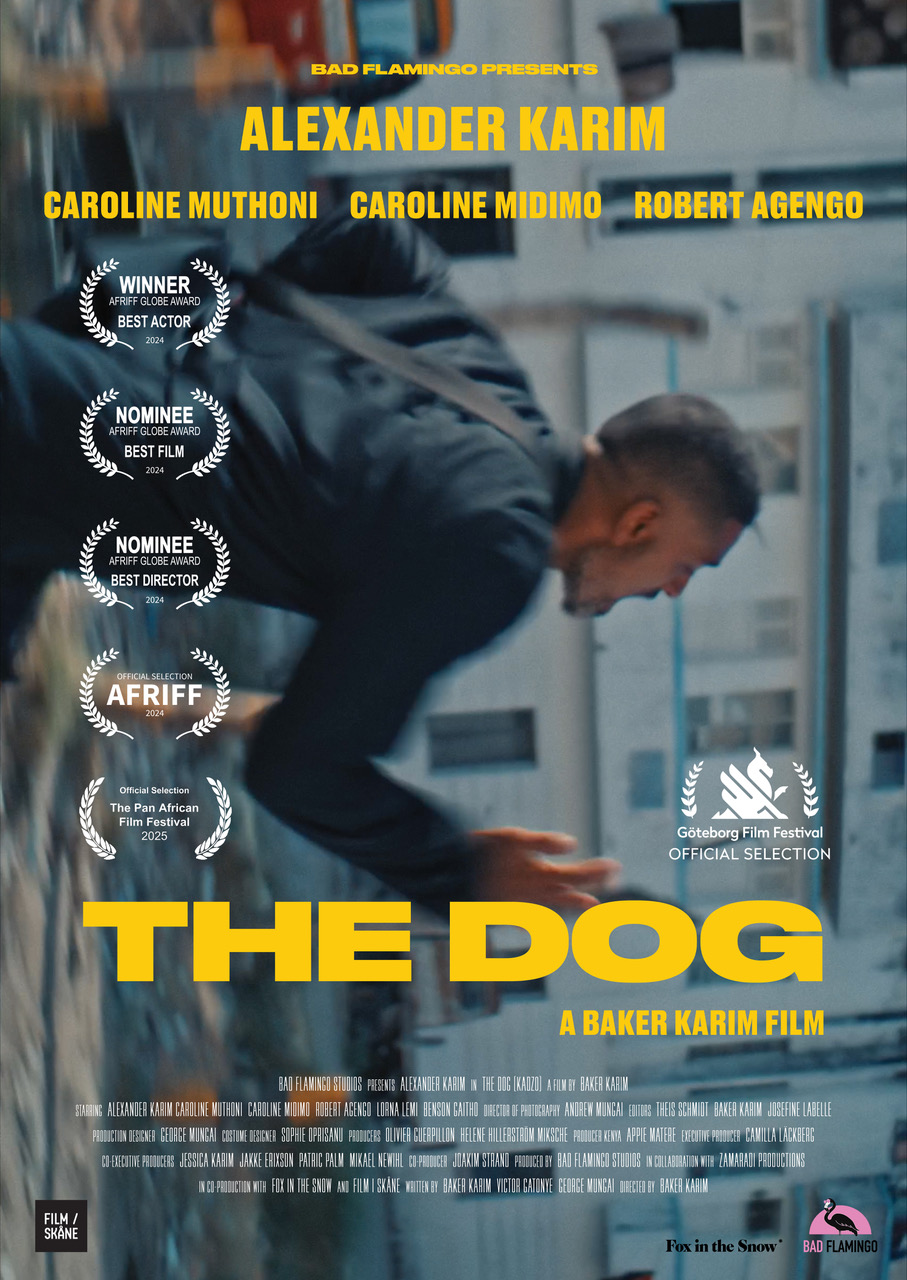 The Dog