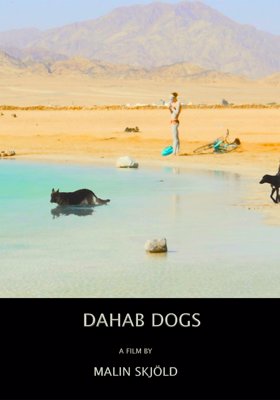 Dahab Dogs