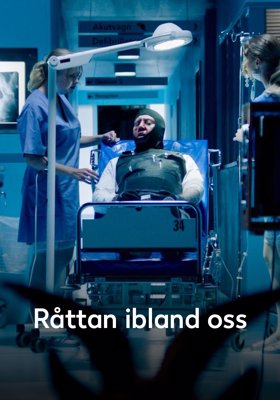 Råttan ibland oss