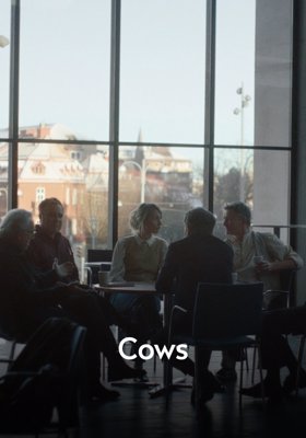 Cows