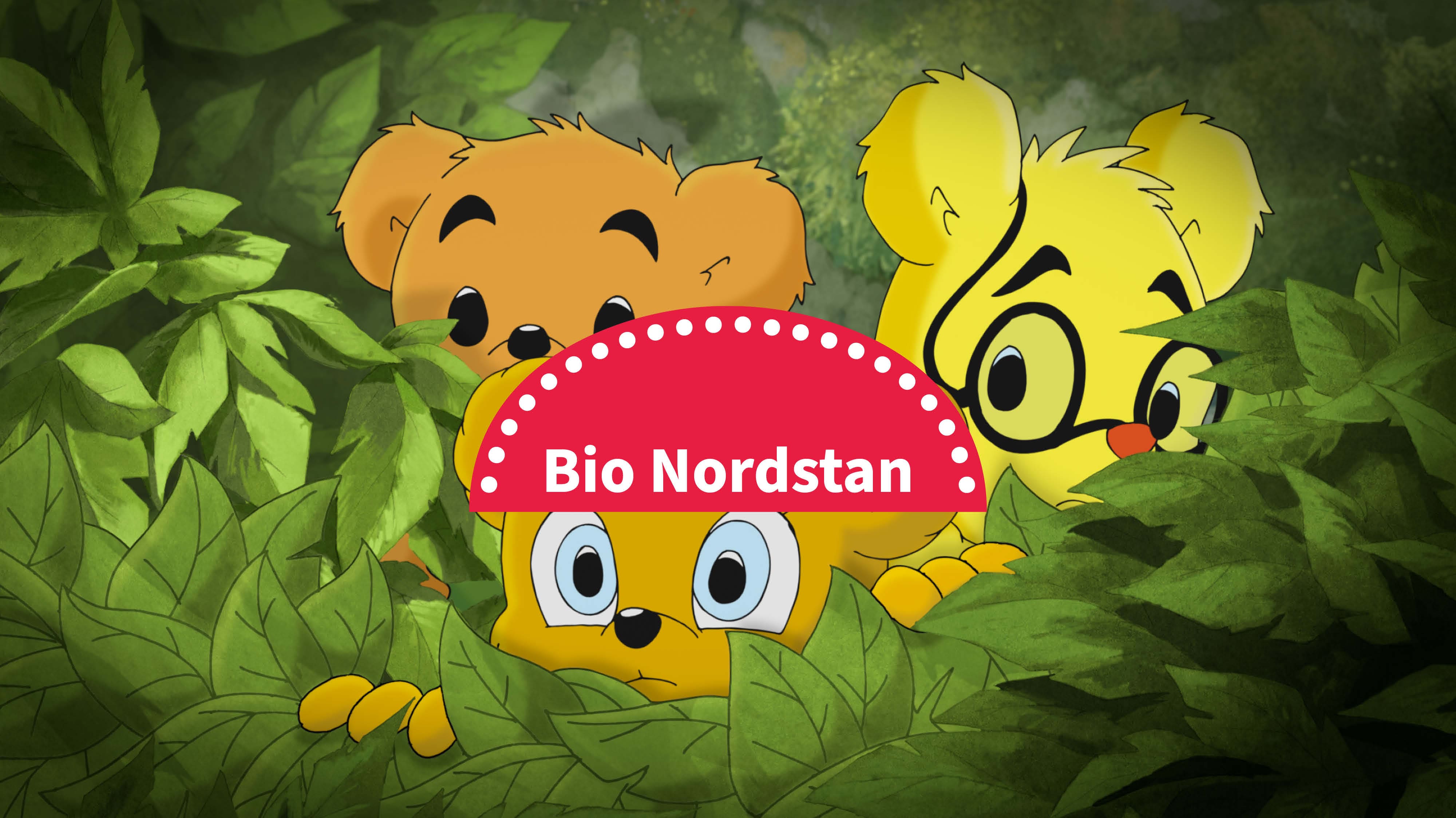 Bio Nordstan: Bamse och häxans dotter