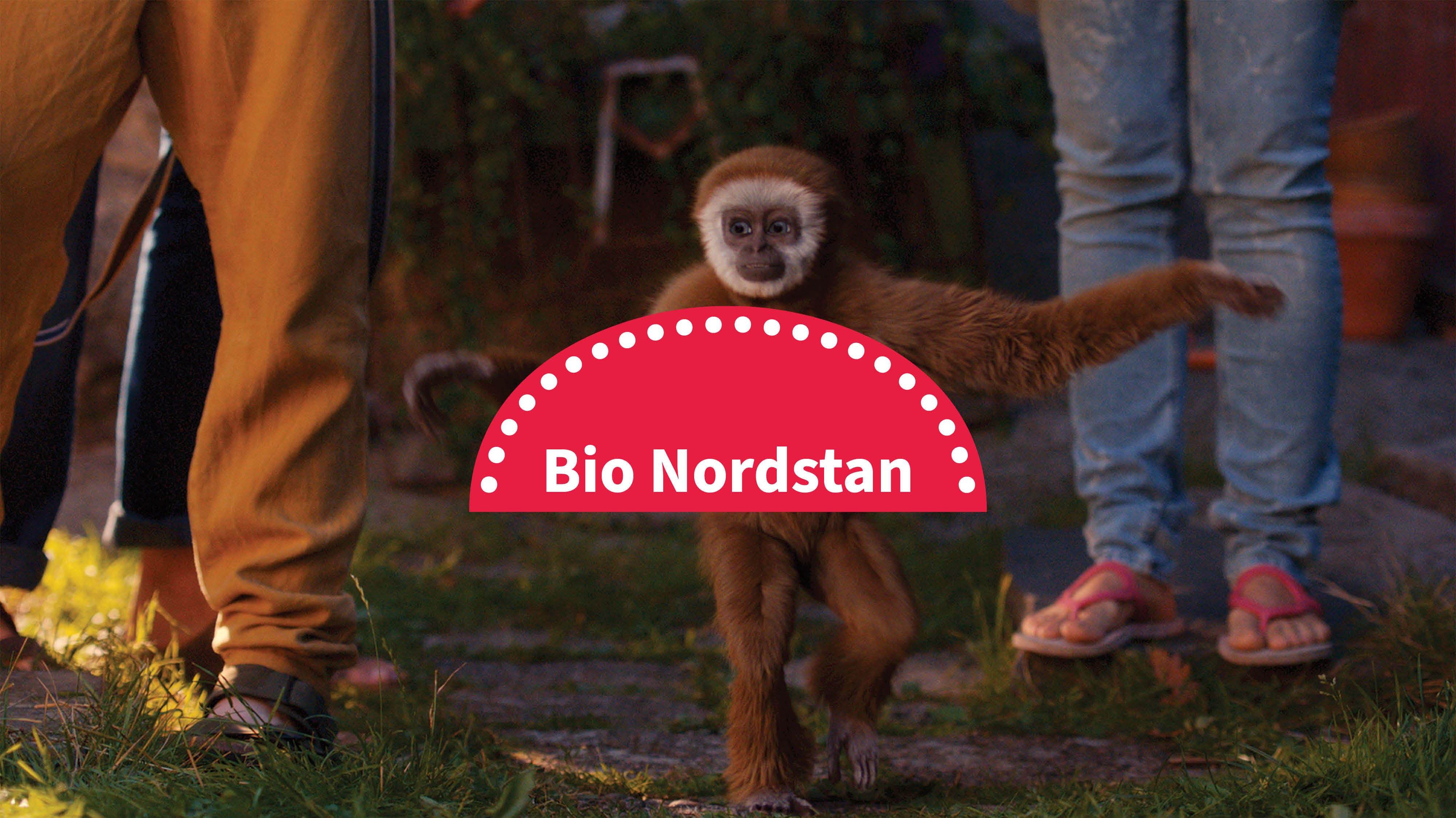 Bio Nordstan: Monky